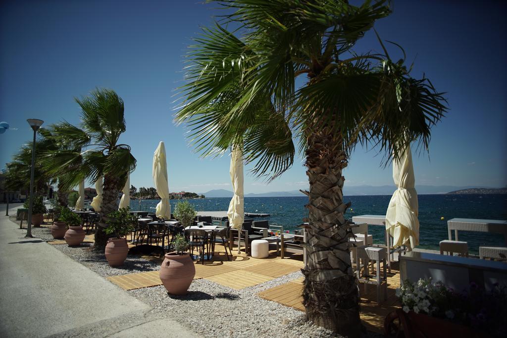 발리스 리조트 호텔 볼로스 외부 사진 Palm trees in the port of Argostoli